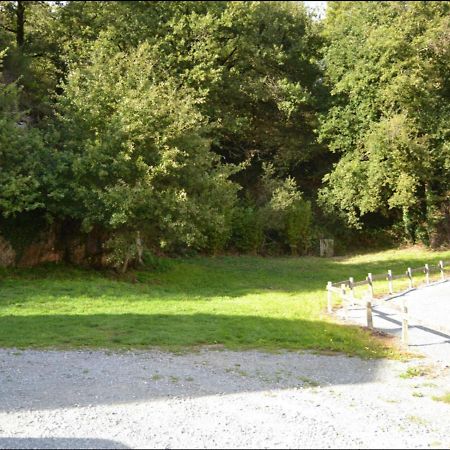 Demeure Du Castel Bed & Breakfast Les Chatelliers-Chateaumur ภายนอก รูปภาพ