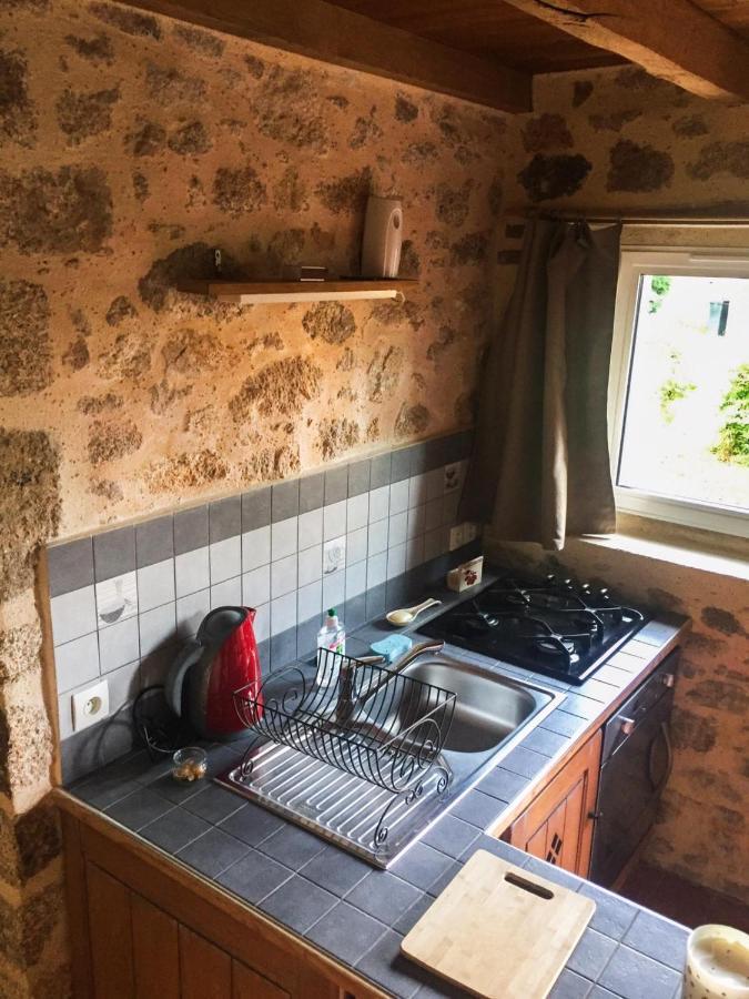 Demeure Du Castel Bed & Breakfast Les Chatelliers-Chateaumur ภายนอก รูปภาพ