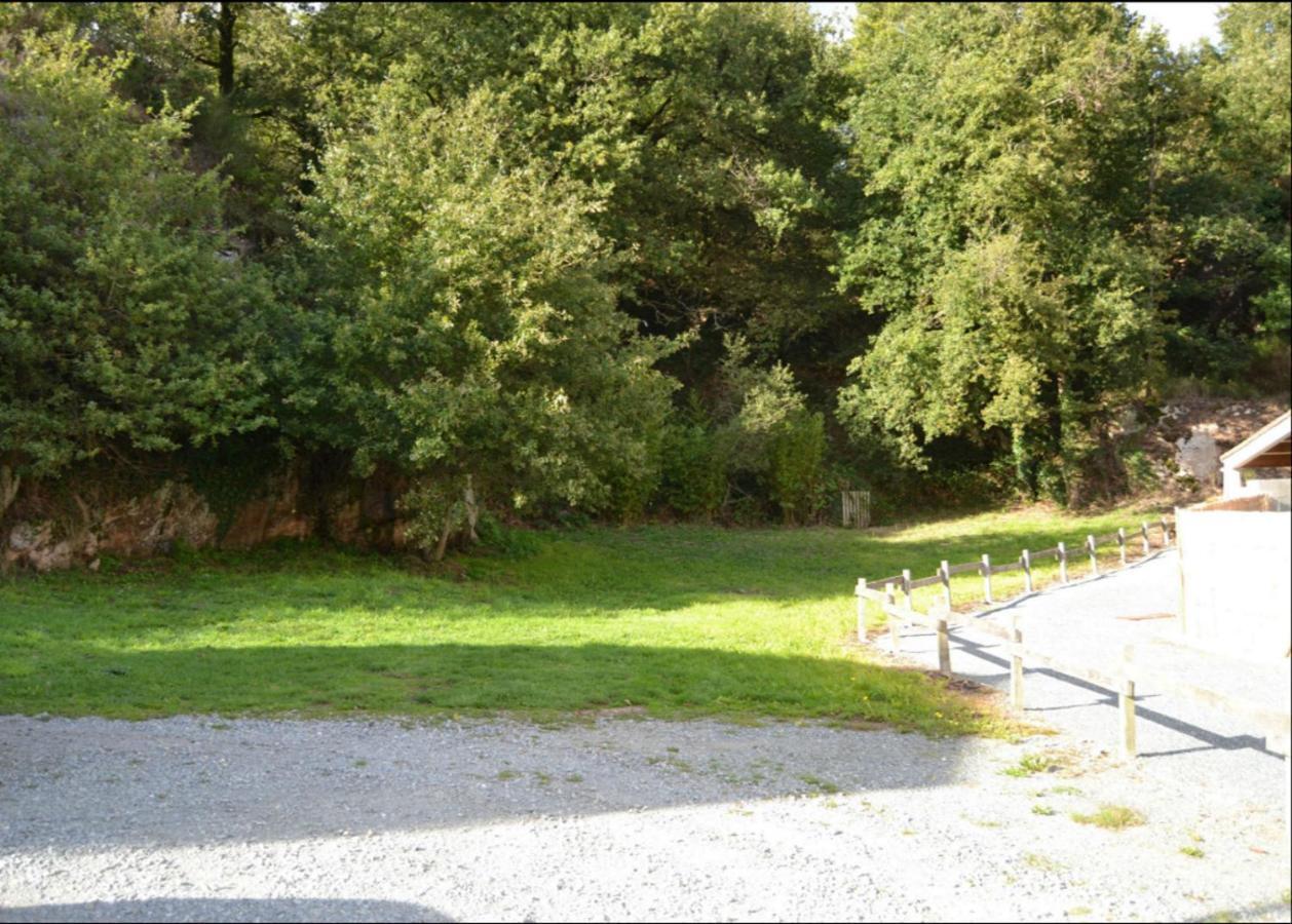 Demeure Du Castel Bed & Breakfast Les Chatelliers-Chateaumur ภายนอก รูปภาพ