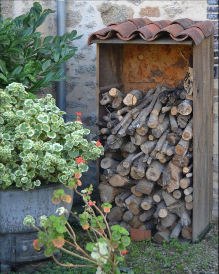 Demeure Du Castel Bed & Breakfast Les Chatelliers-Chateaumur ภายนอก รูปภาพ