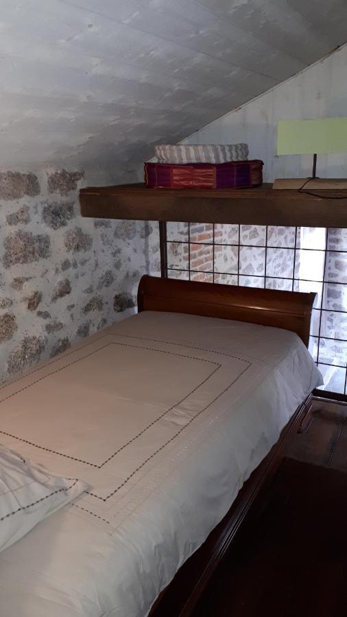 Demeure Du Castel Bed & Breakfast Les Chatelliers-Chateaumur ภายนอก รูปภาพ